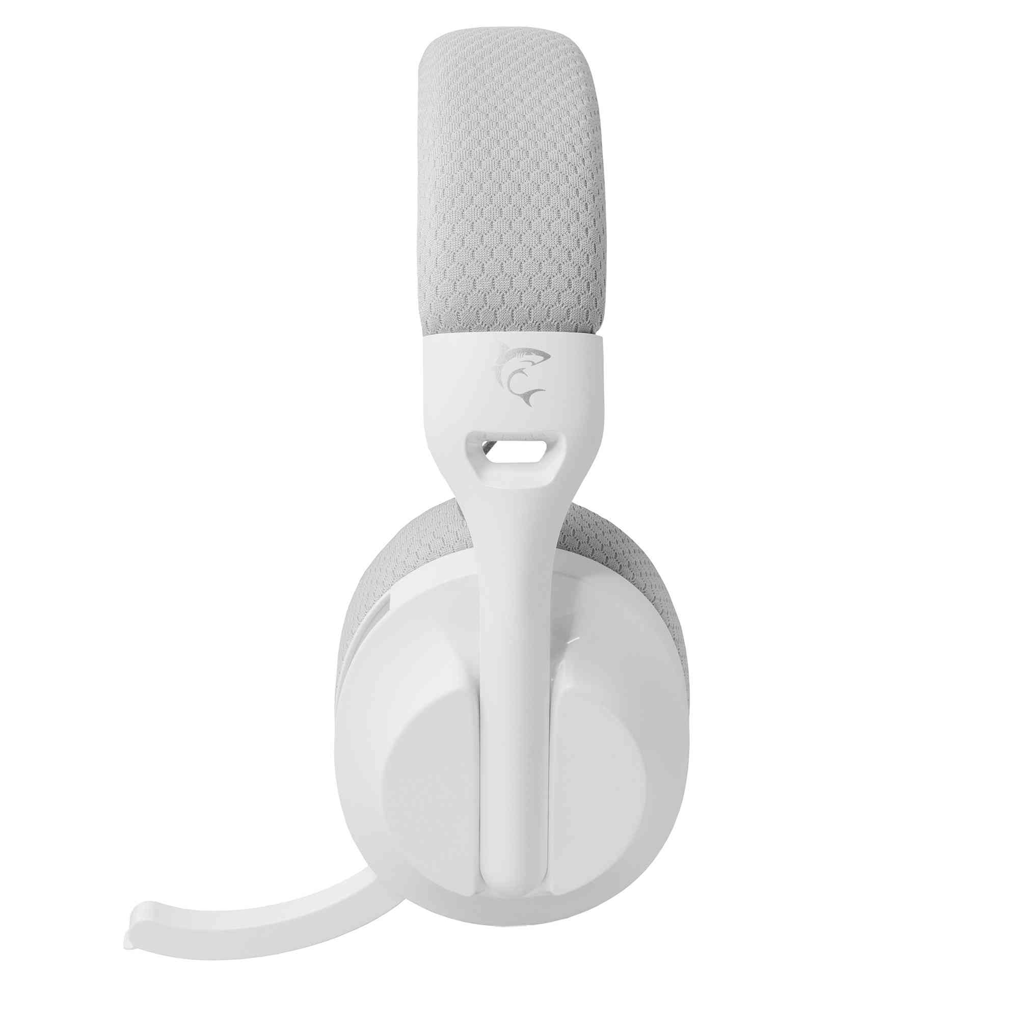 product-tab-1