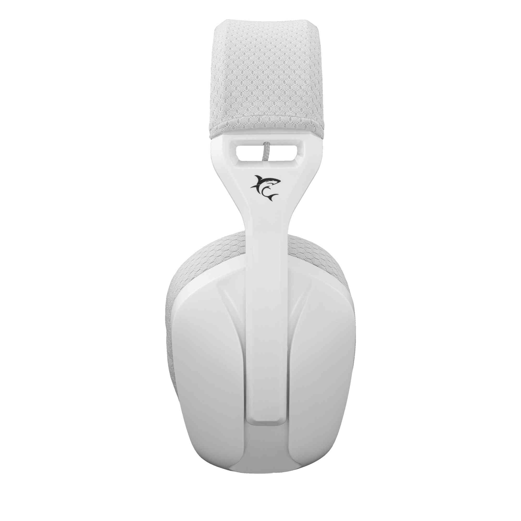product-tab-1