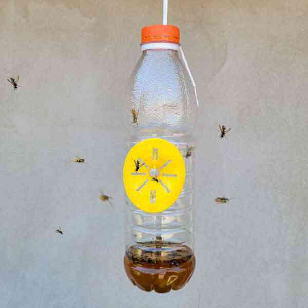 product-tab-1