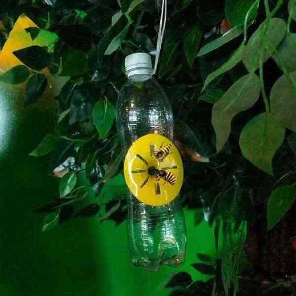 product-tab-1