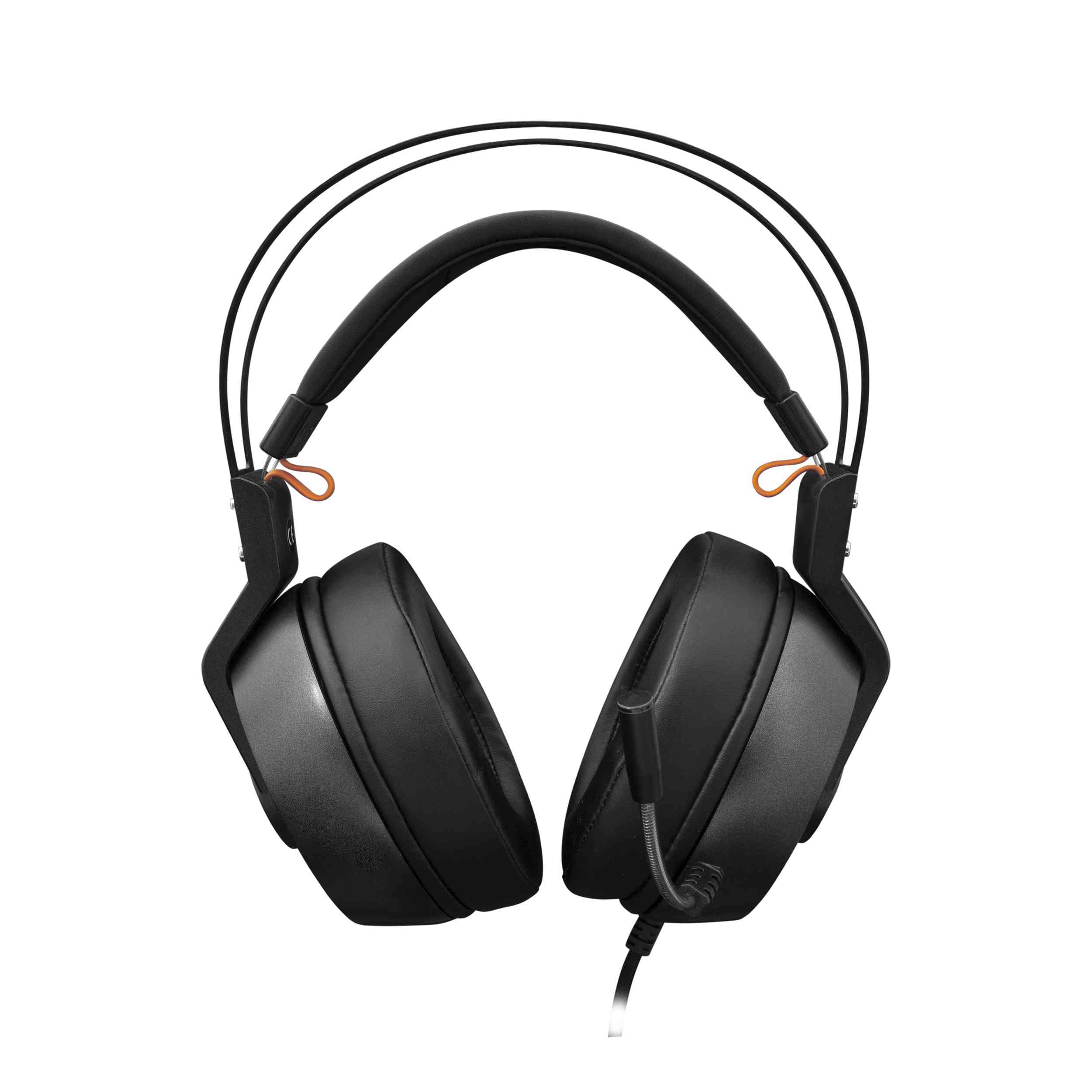 product-tab-1