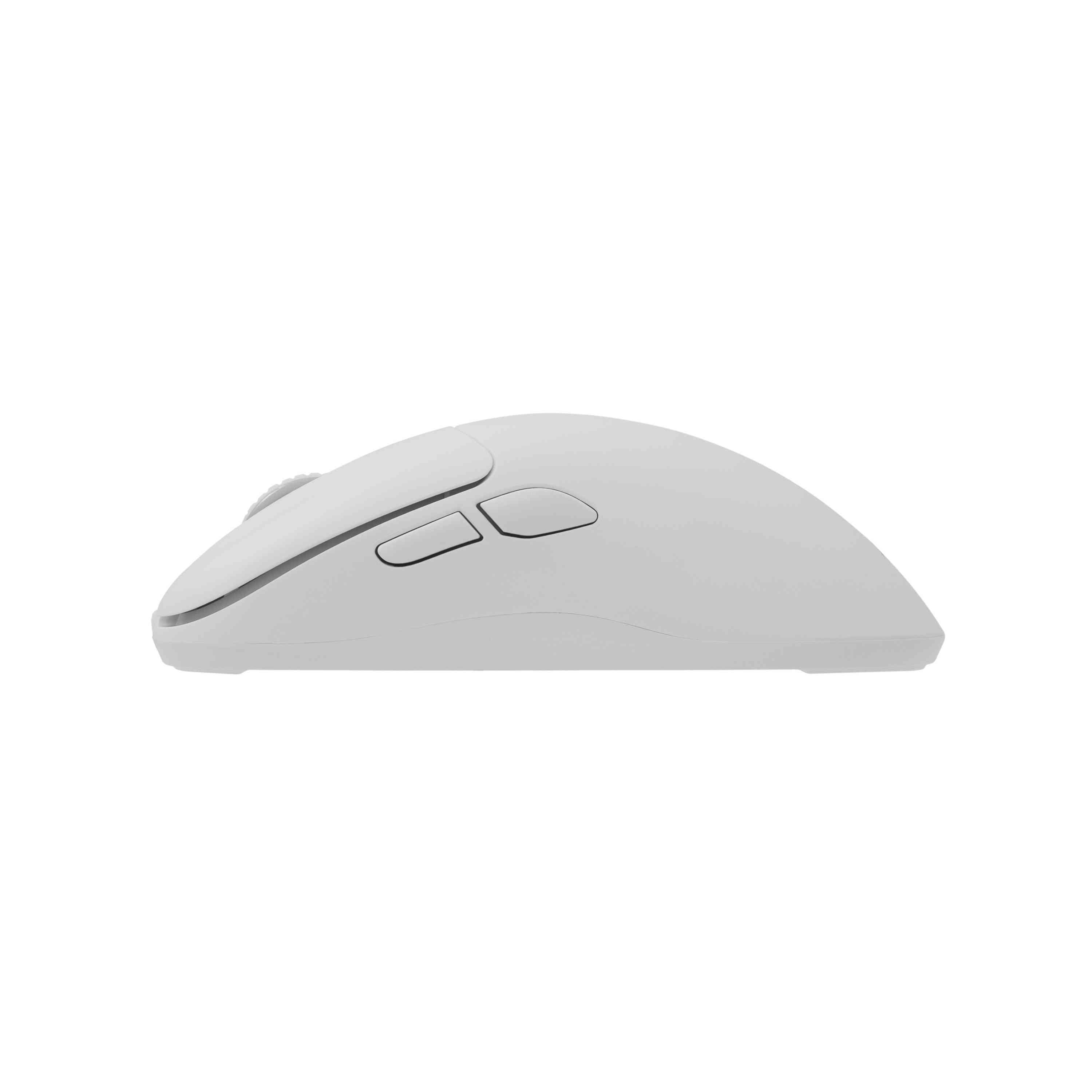 product-tab-1
