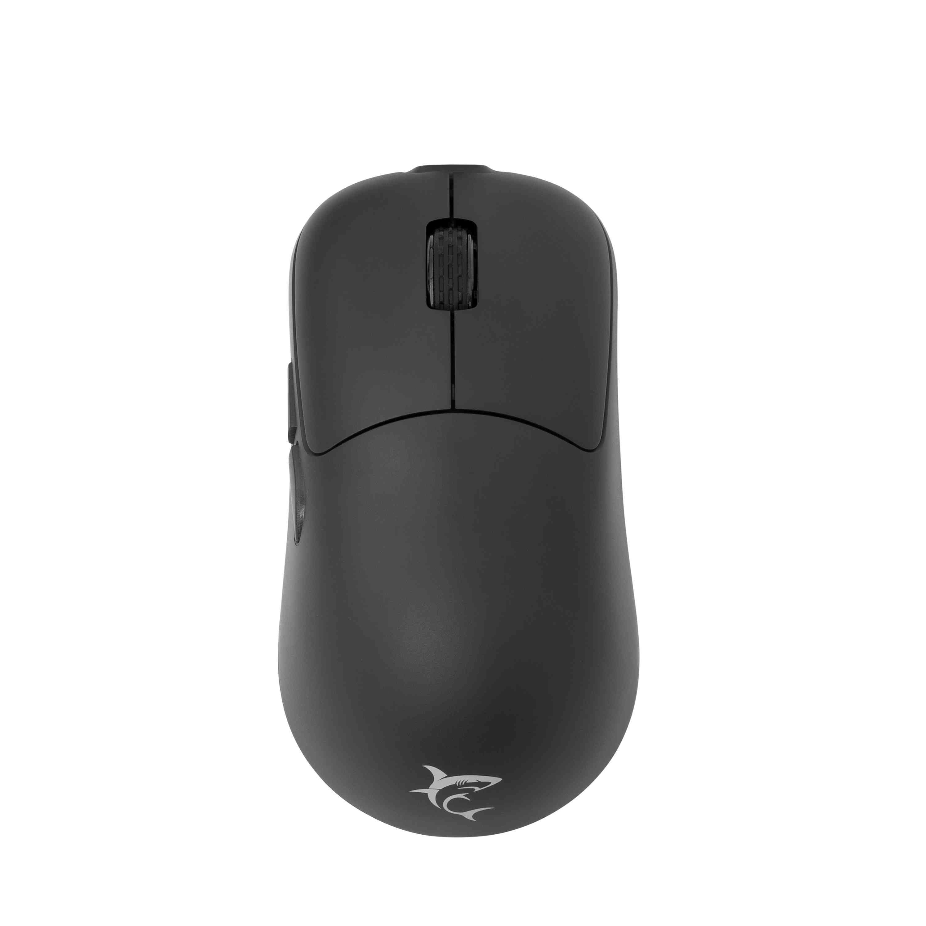 product-tab-1