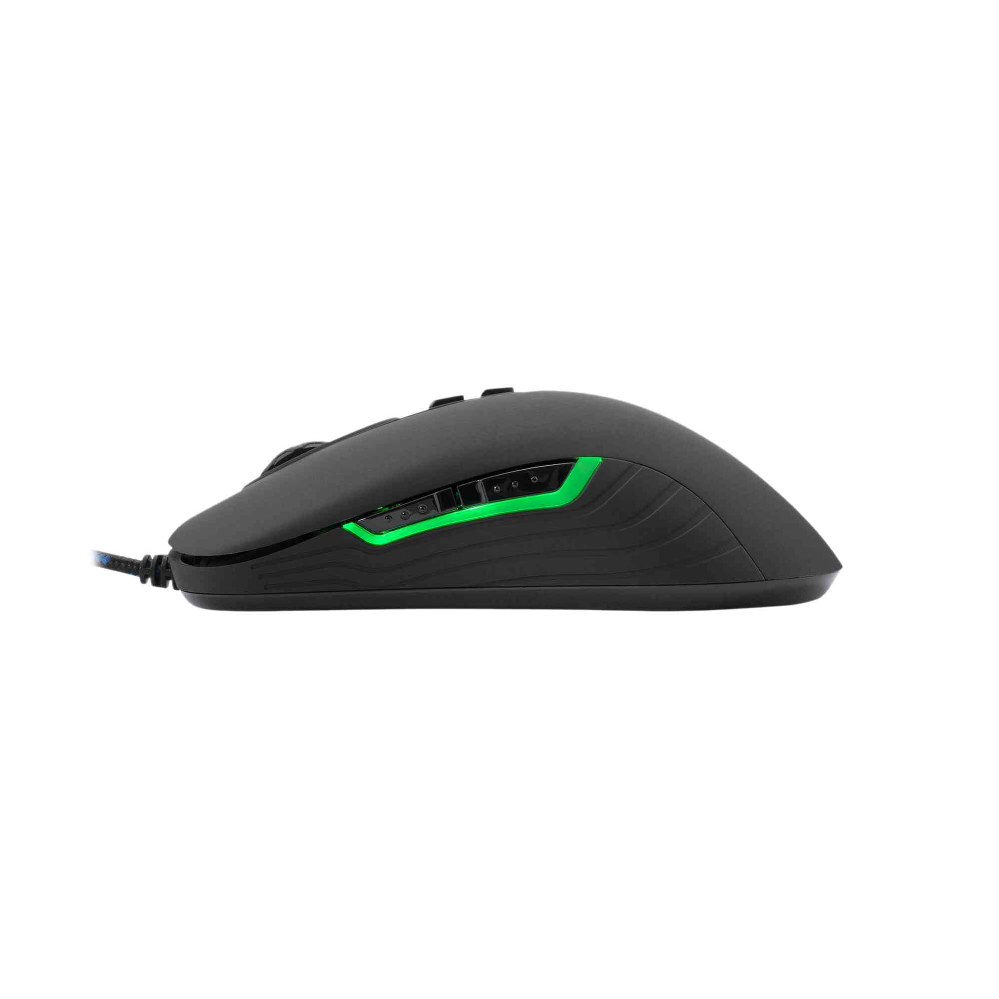 product-tab-1