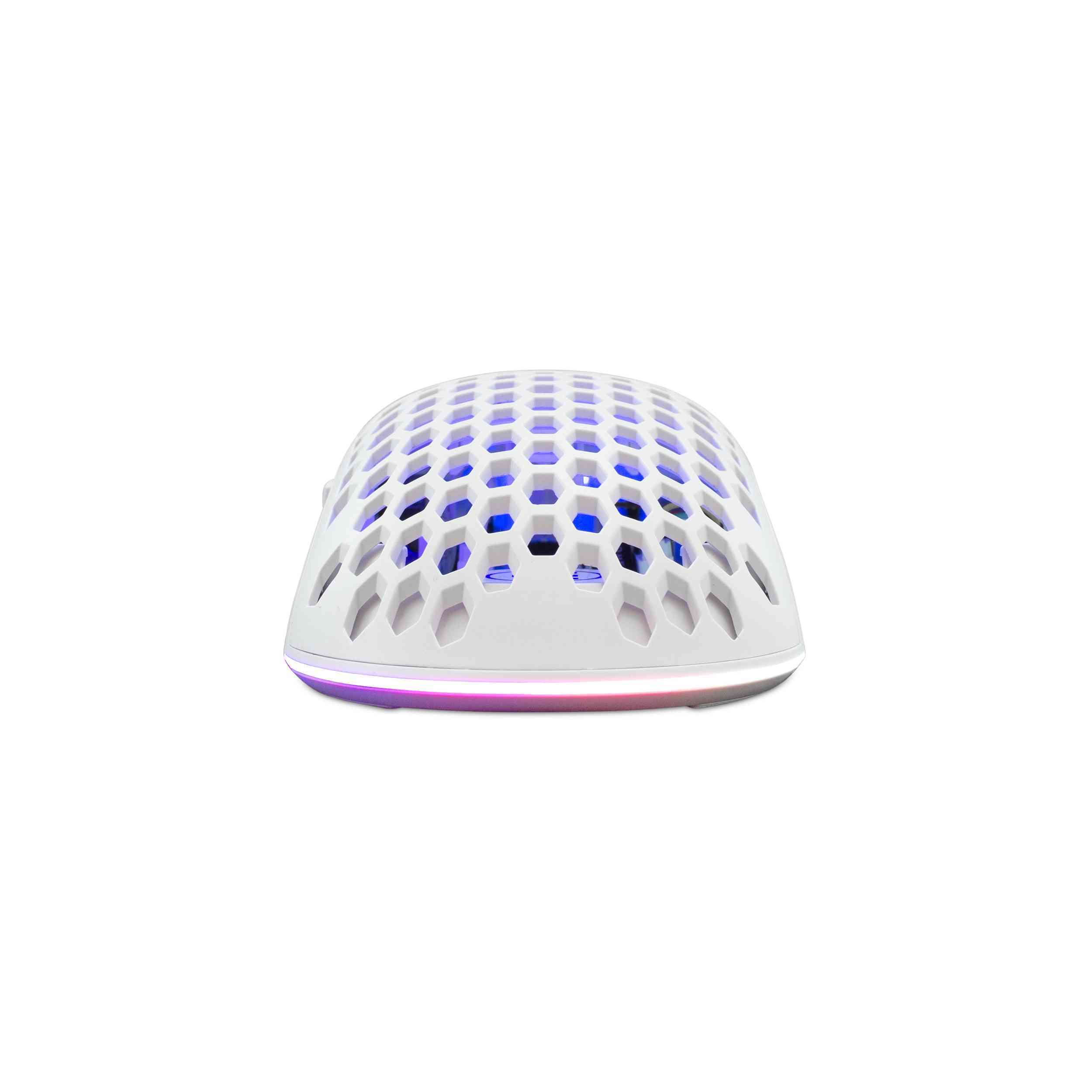 product-tab-1
