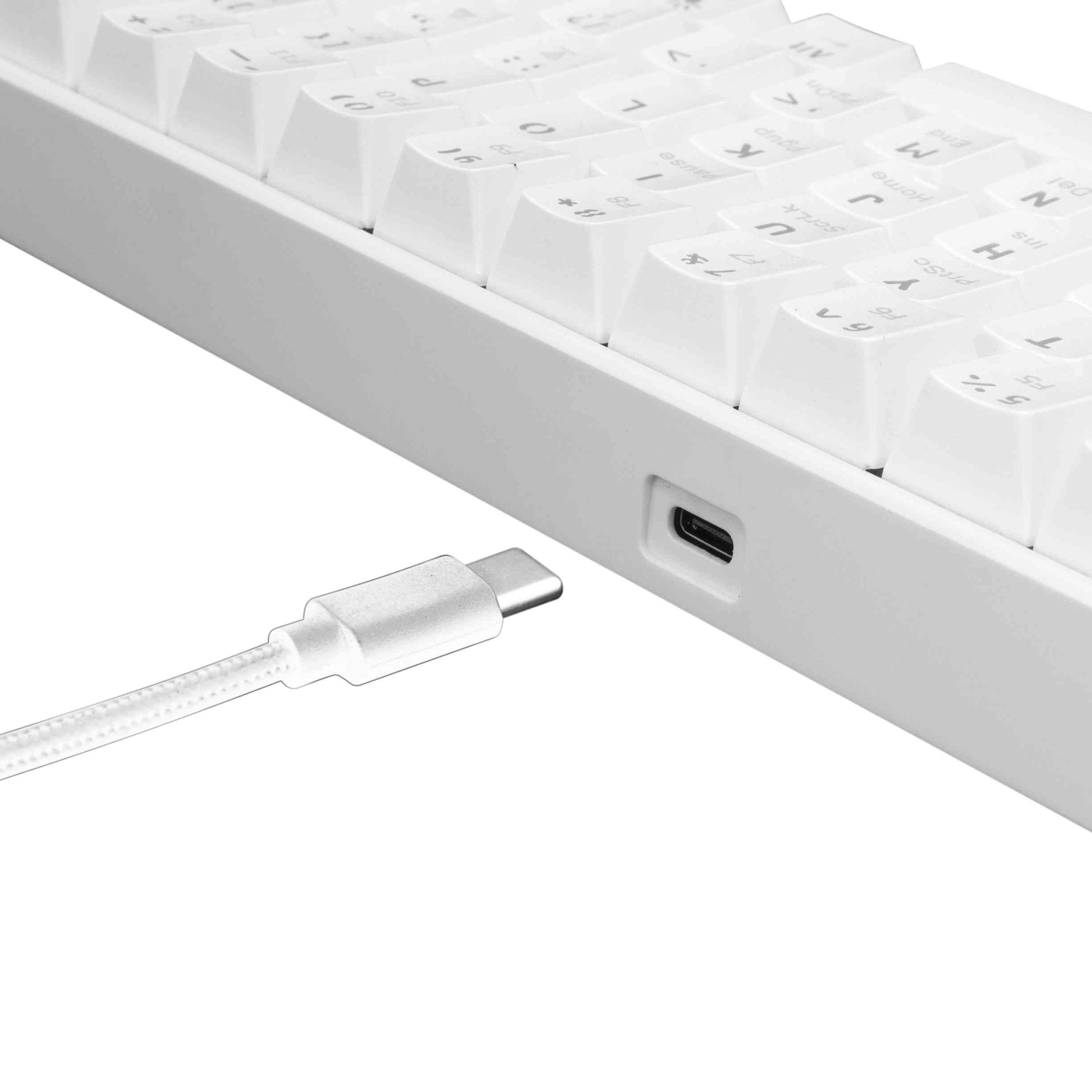 product-tab-1