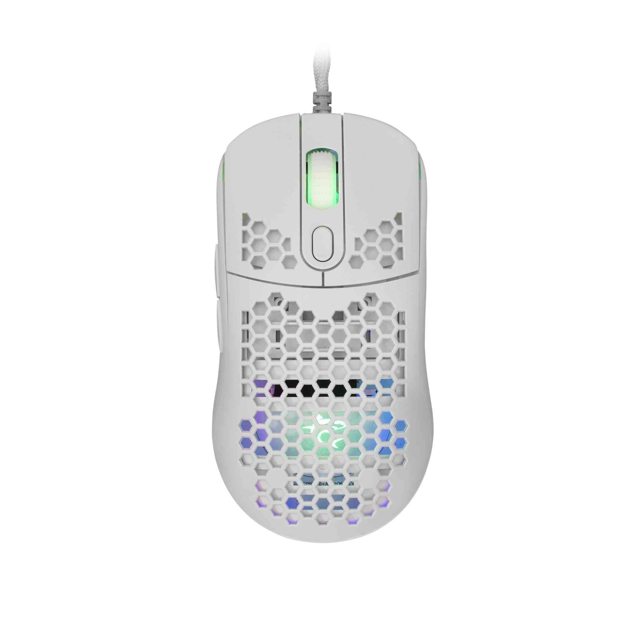 product-tab-1