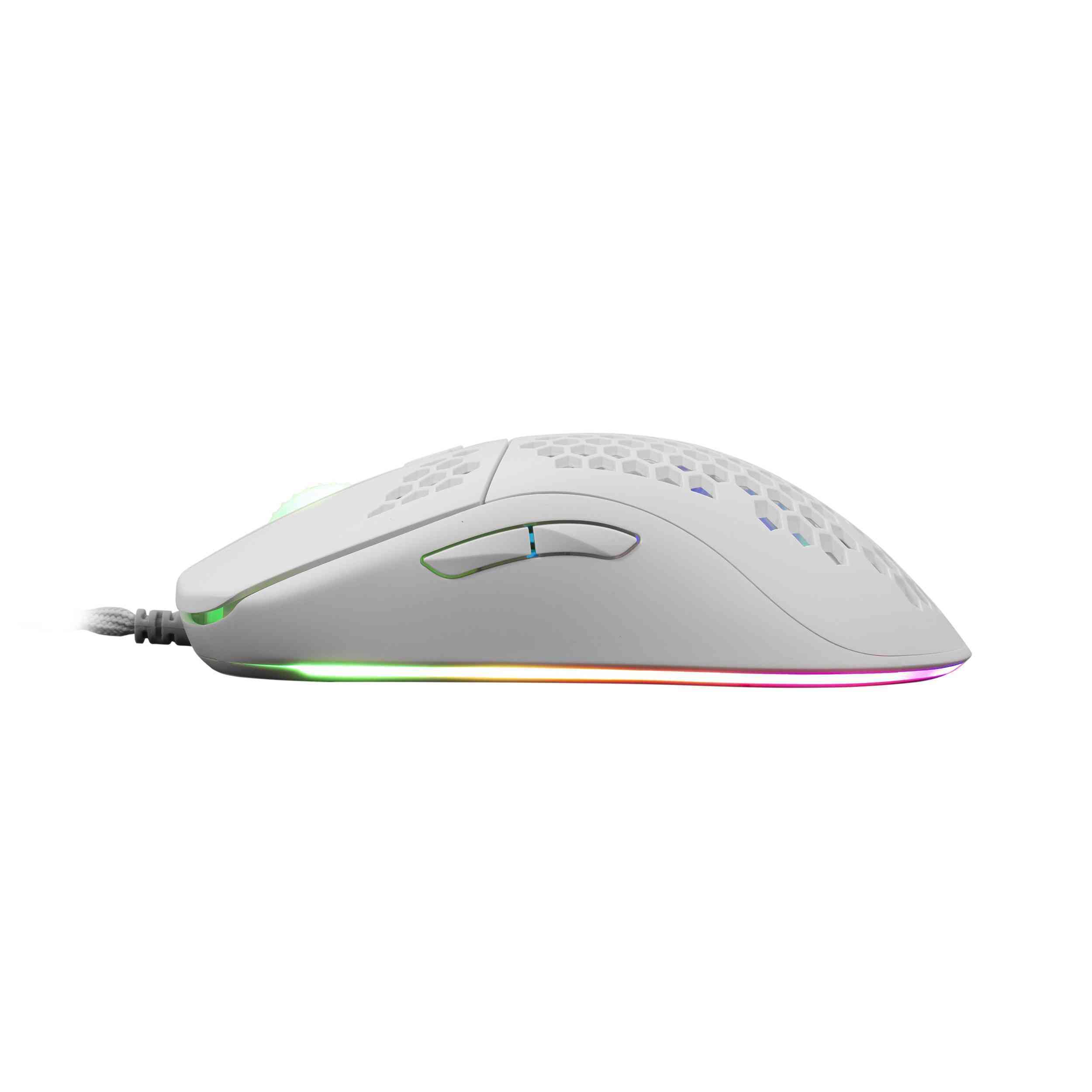 product-tab-1