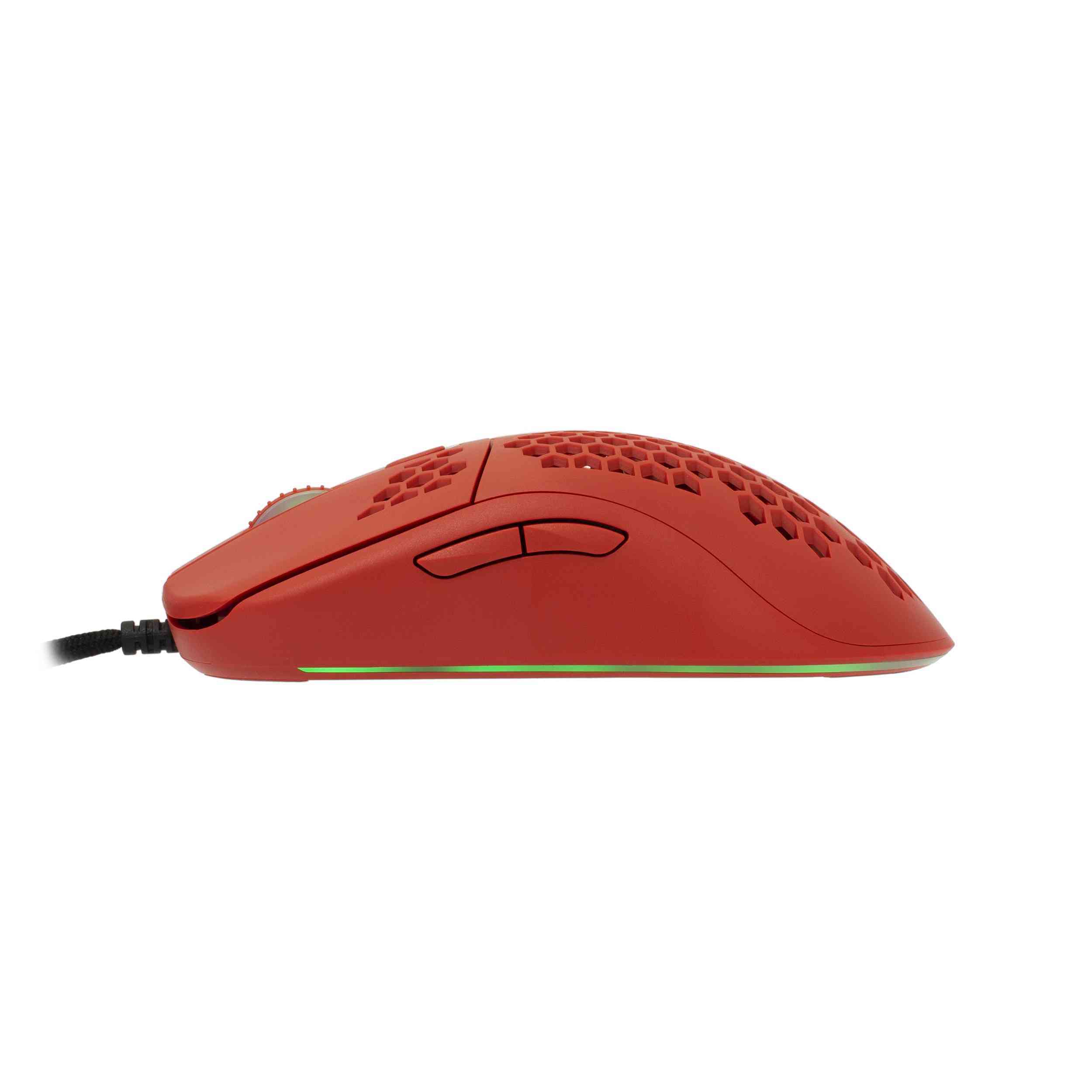product-tab-1