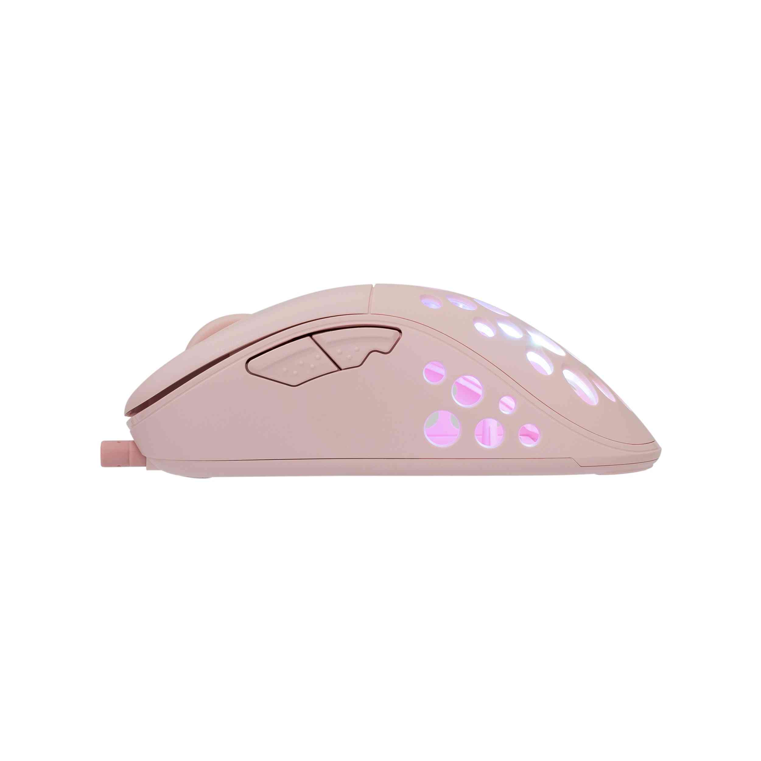 product-tab-1