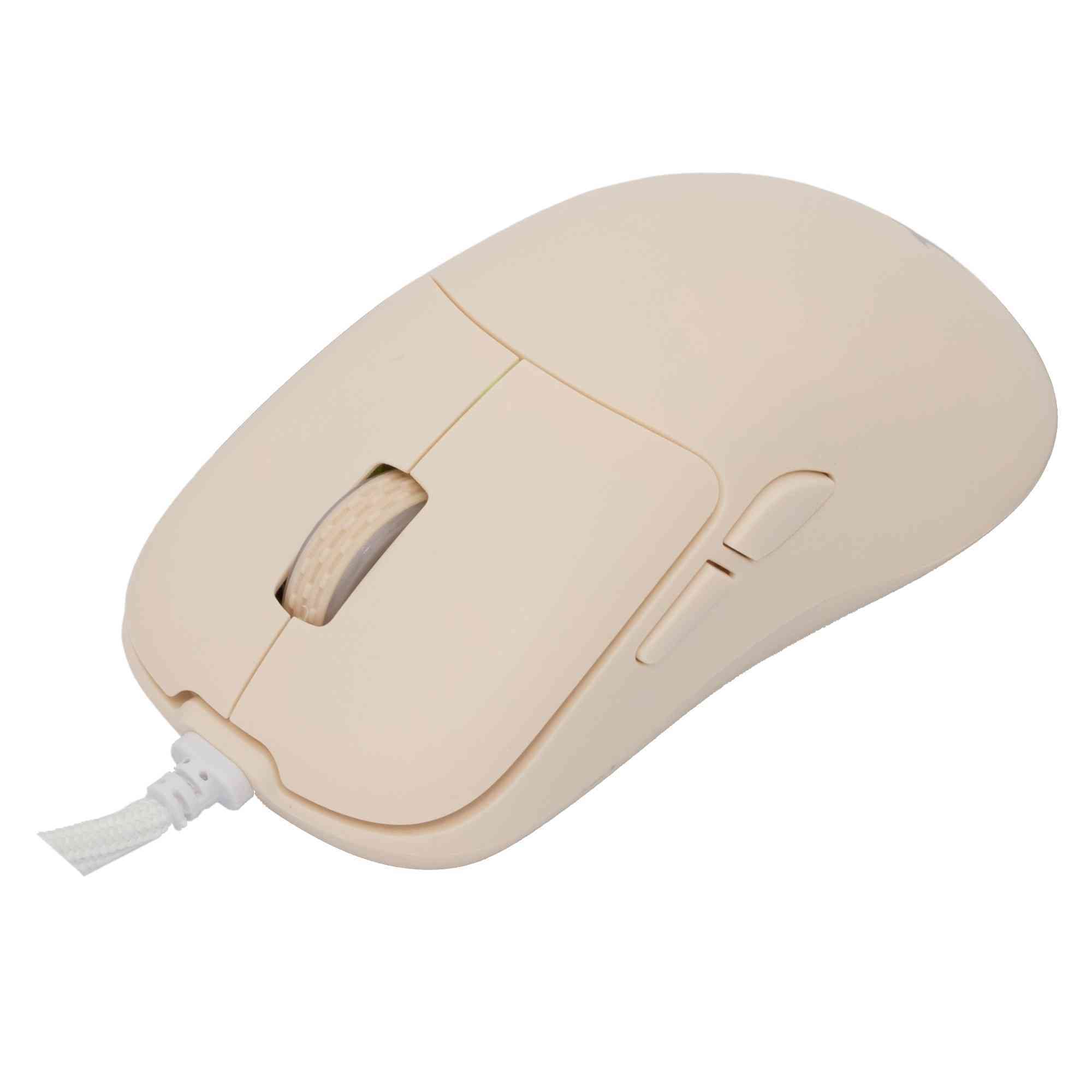 product-tab-1