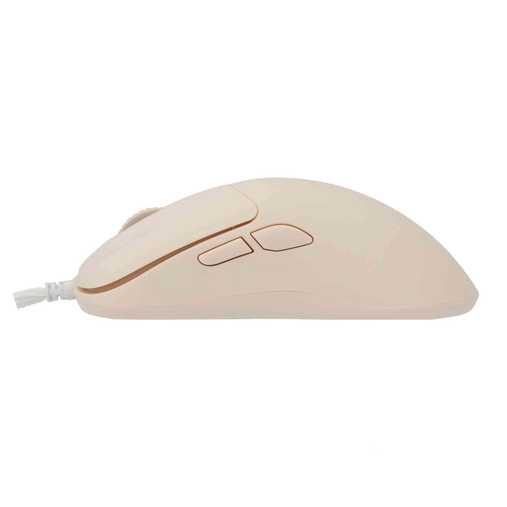 product-tab-1