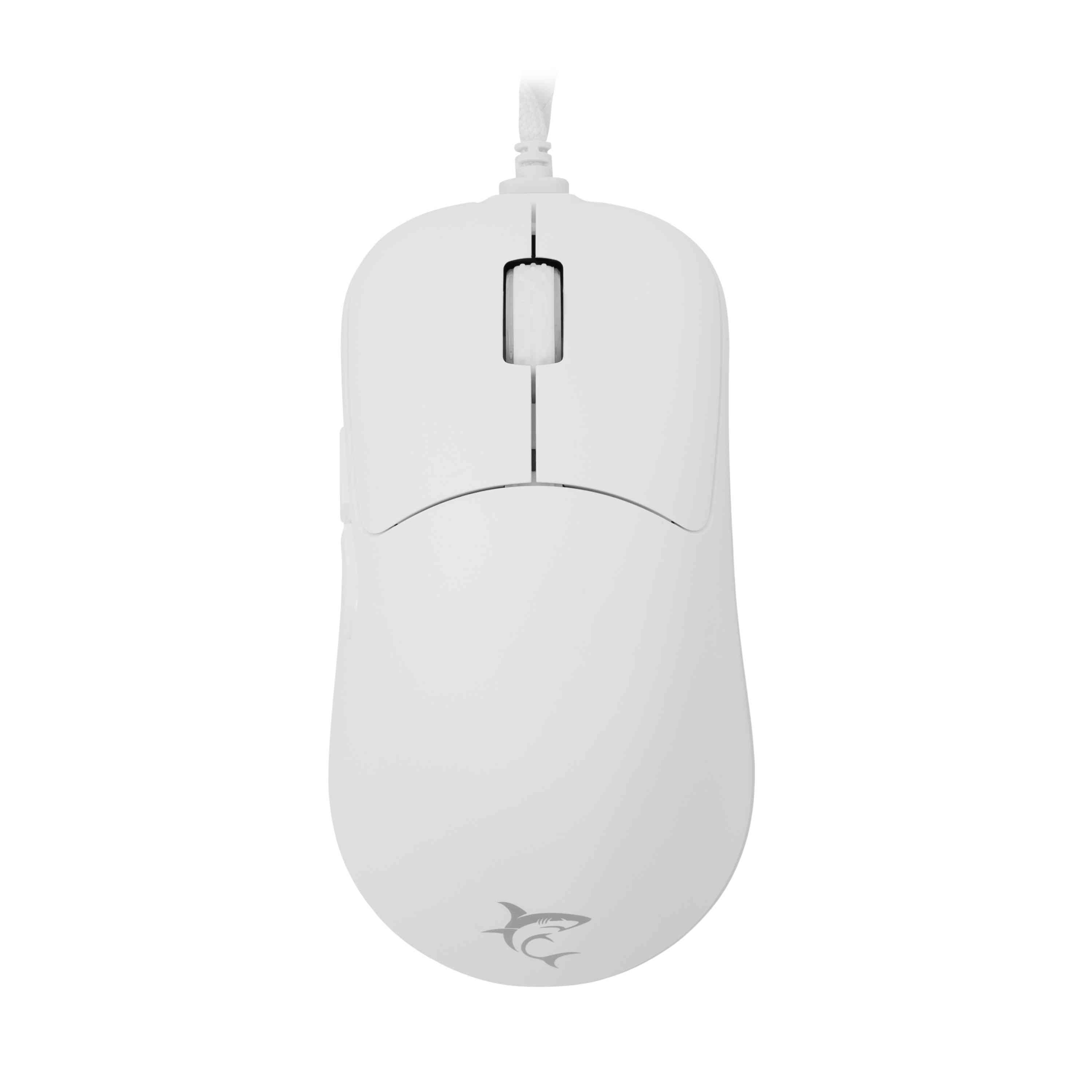 product-tab-1