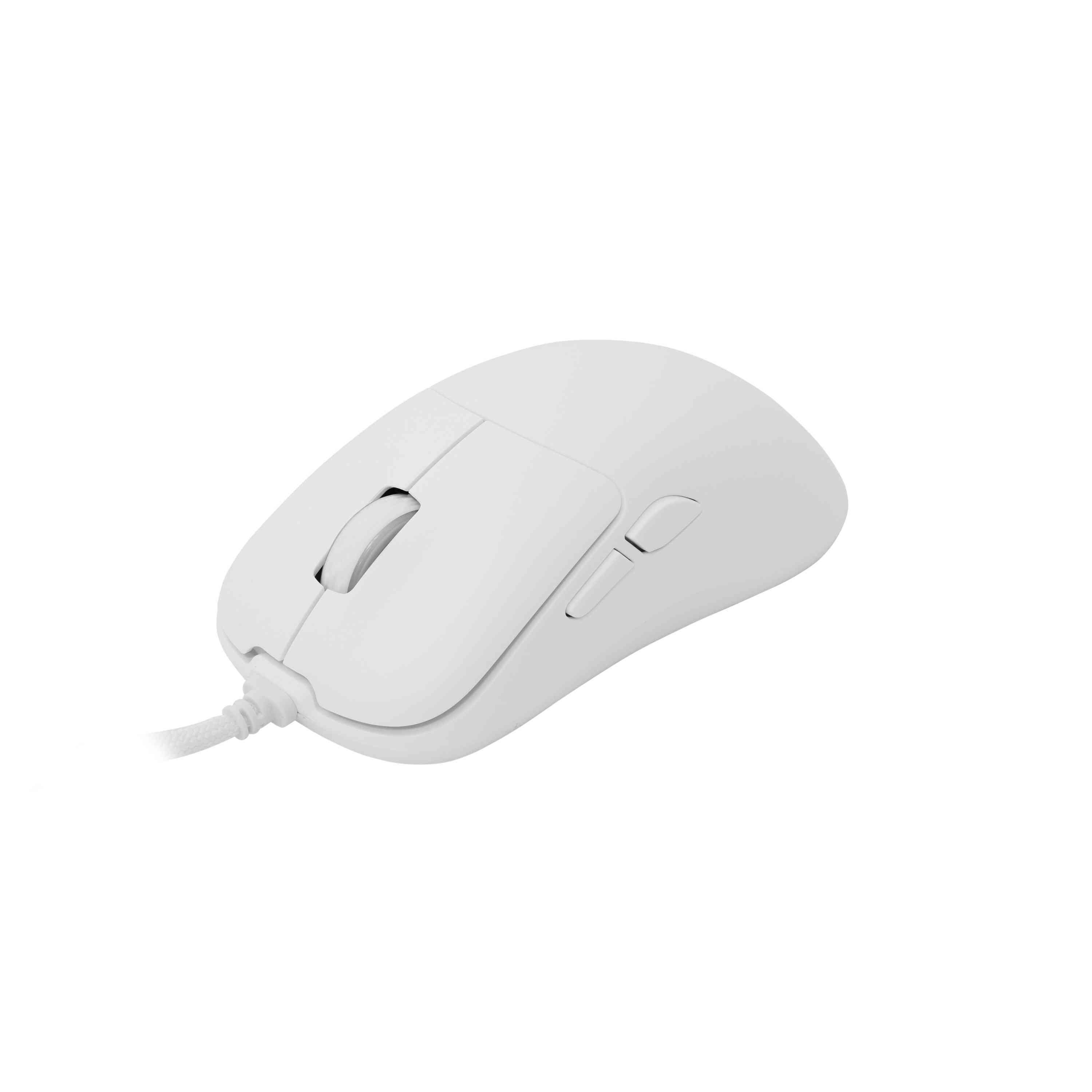 product-tab-1