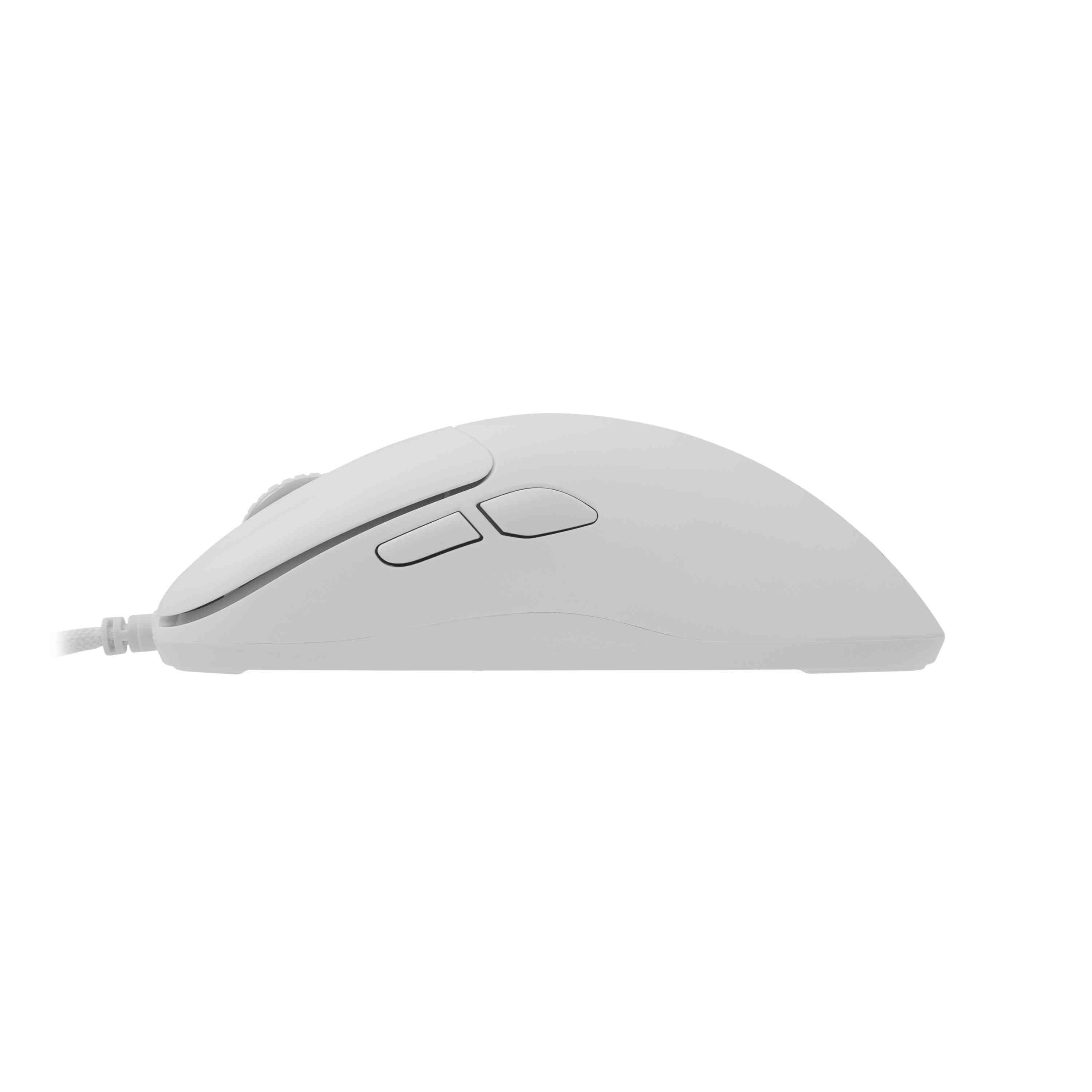 product-tab-1