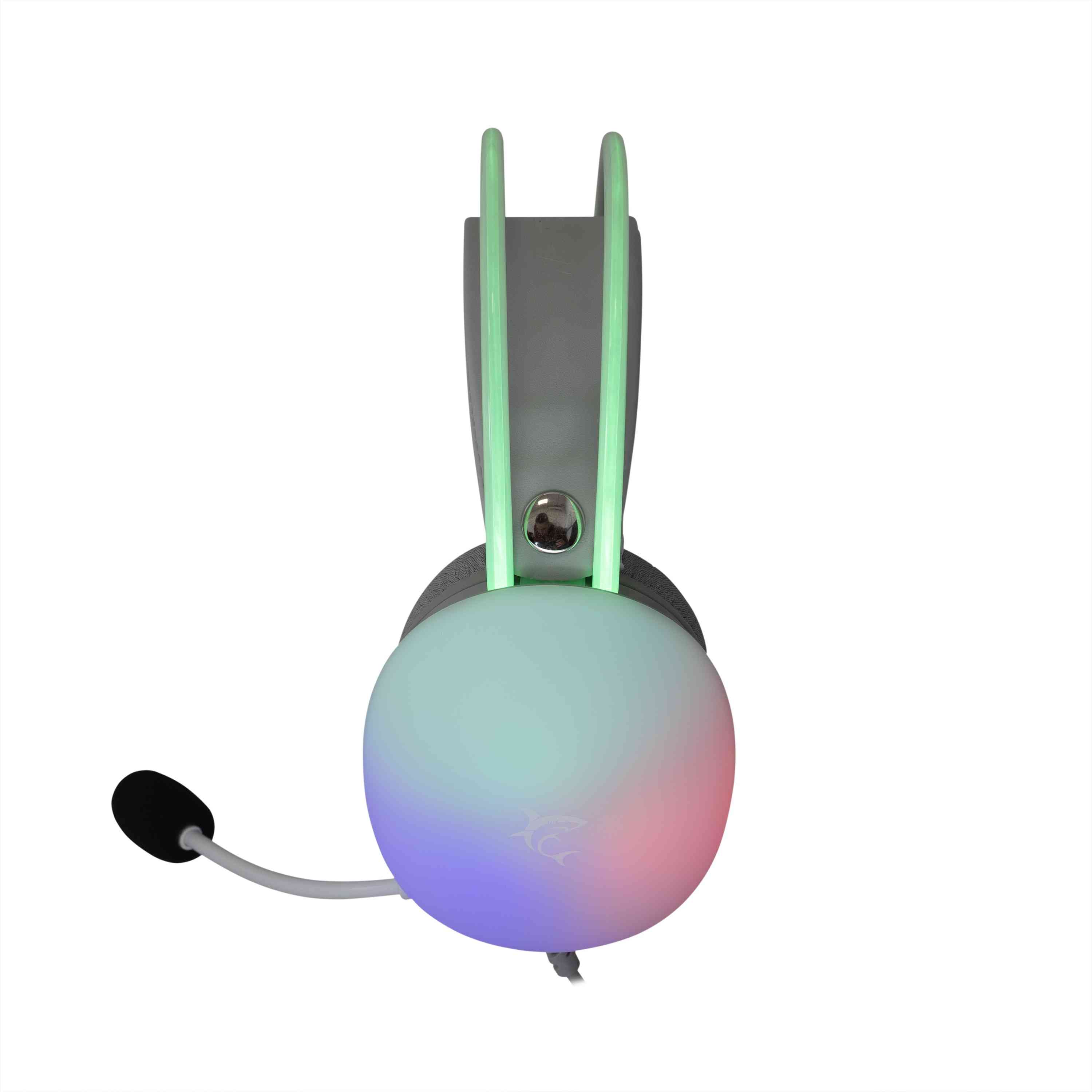 product-tab-1