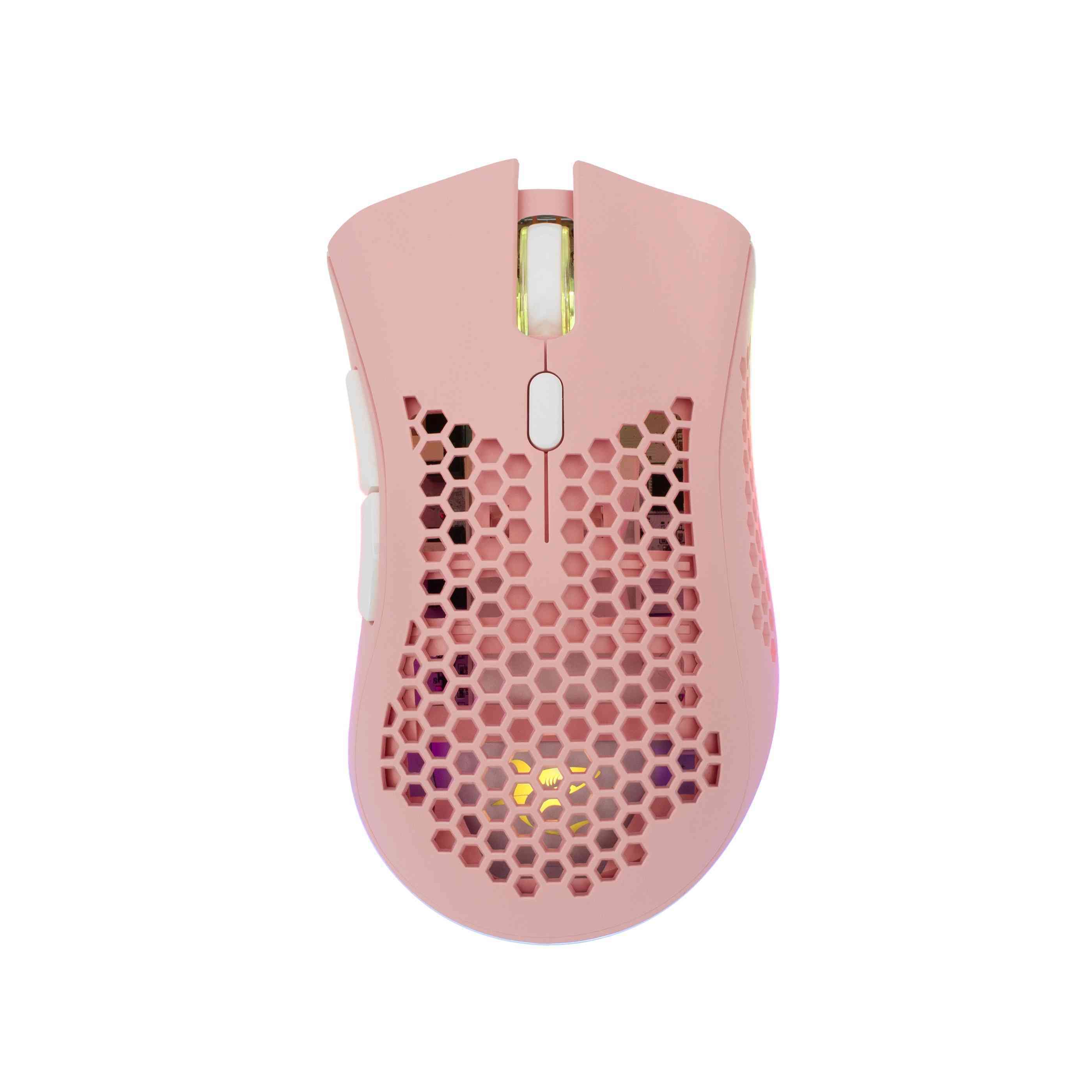 product-tab-1