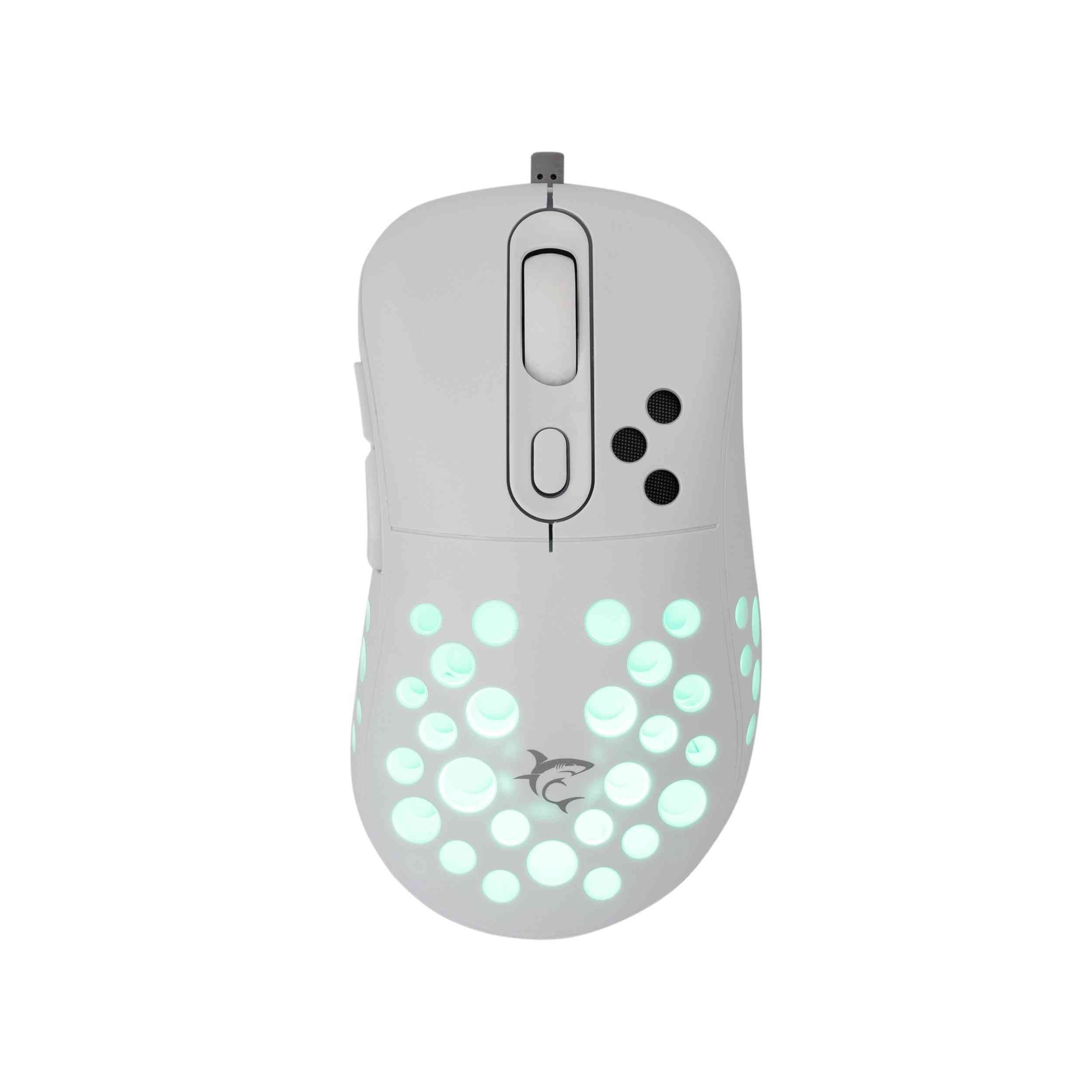 product-tab-1