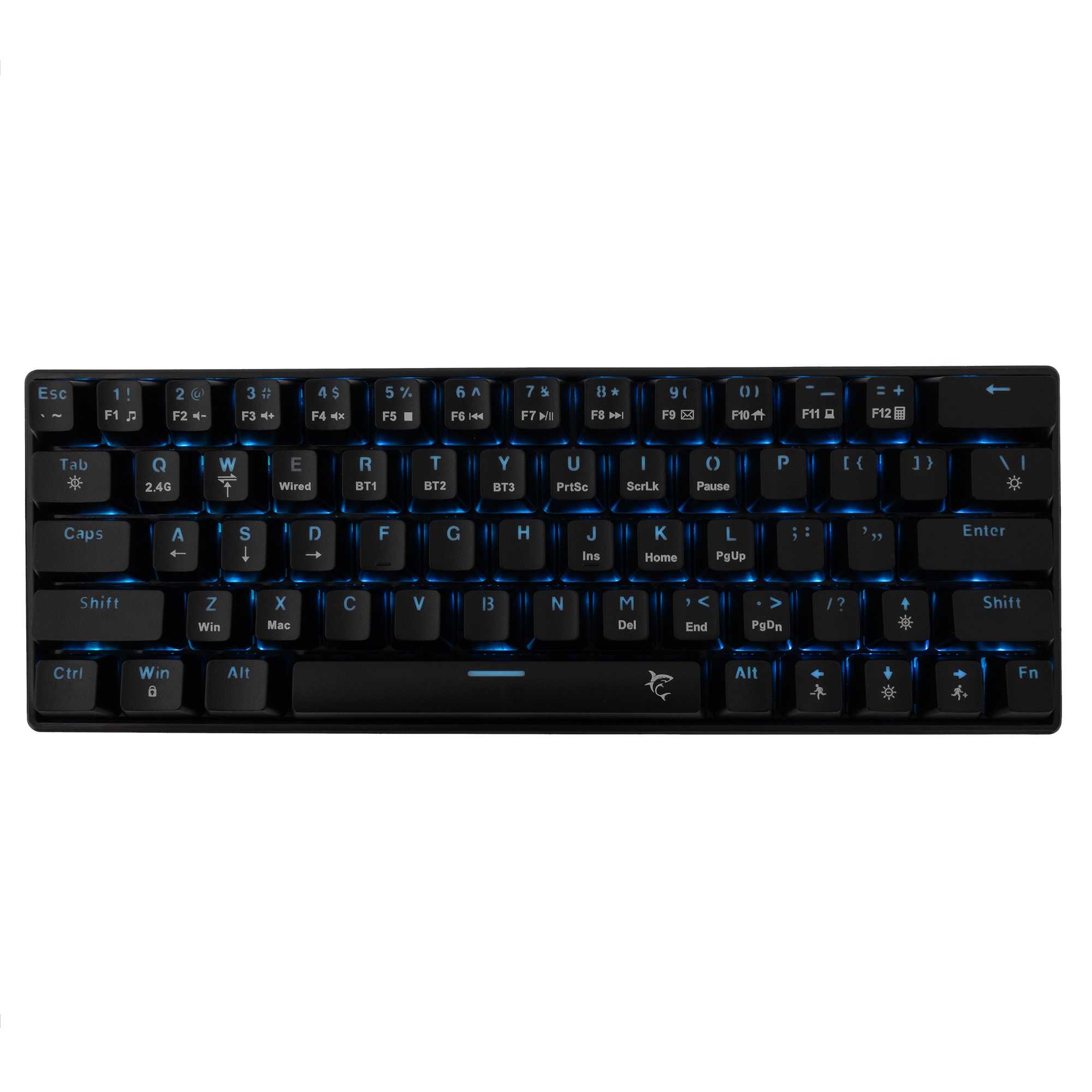 White Shark Premium Tipkovnica GK-003111 KAIKEN US layout Kompaktna Mehanička RGB