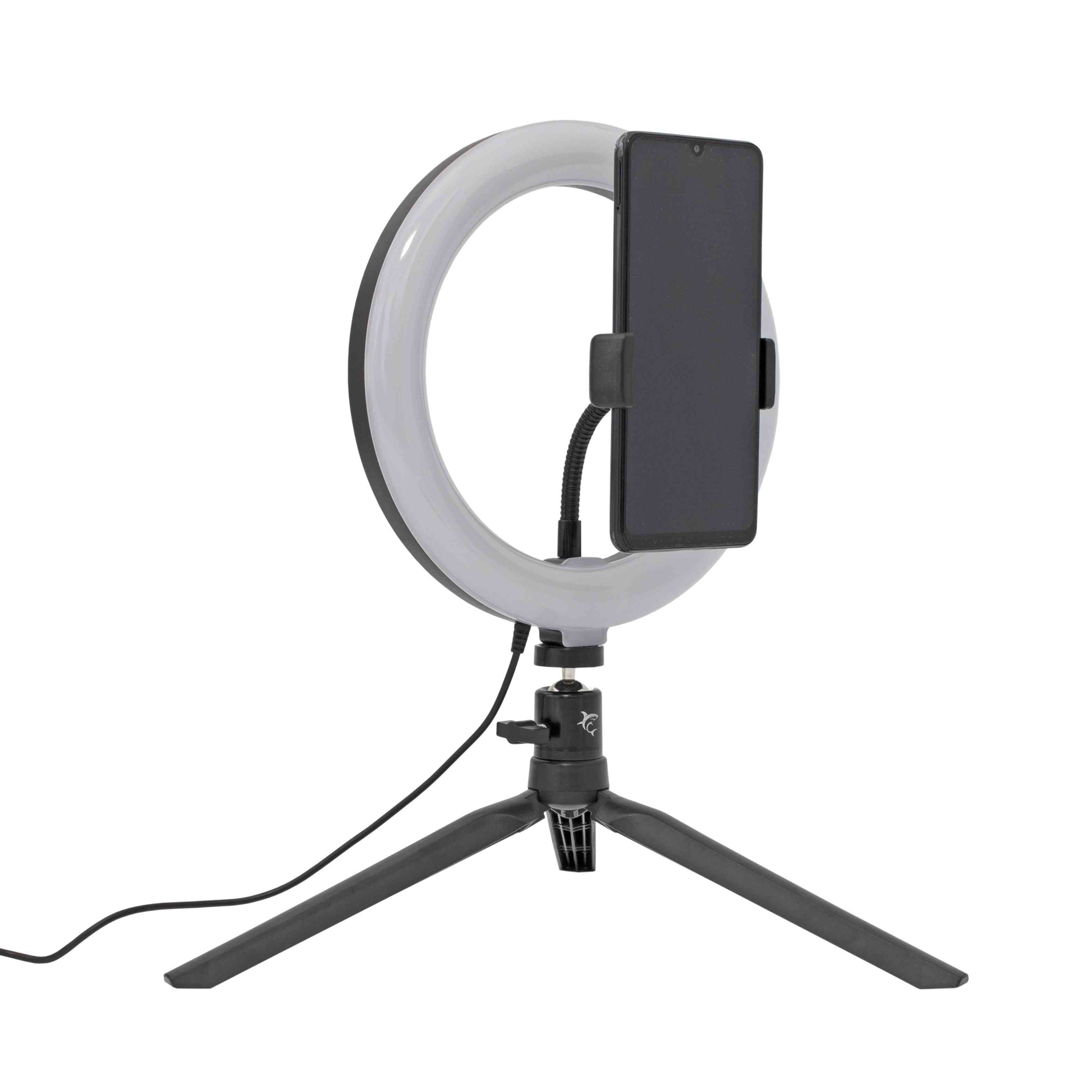 product-tab-1